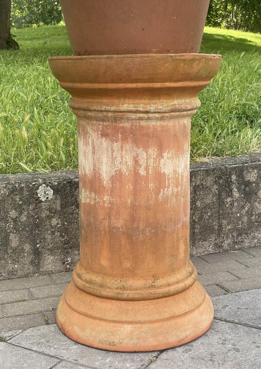 PALM PLANT ON STAND, in terracotta graduated pot on cylindrical fluted terracotta stand, stand - Image 3 of 6