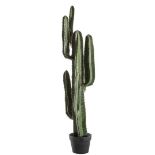 FAUX CACTI, a graduated pair, smaller of the two: 114cm H x 31cm W x 31cm D, larger of the two: