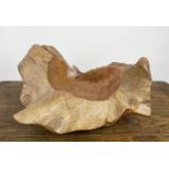 CARVED OLIVE ROOT WOOD BOWL, 50cm W