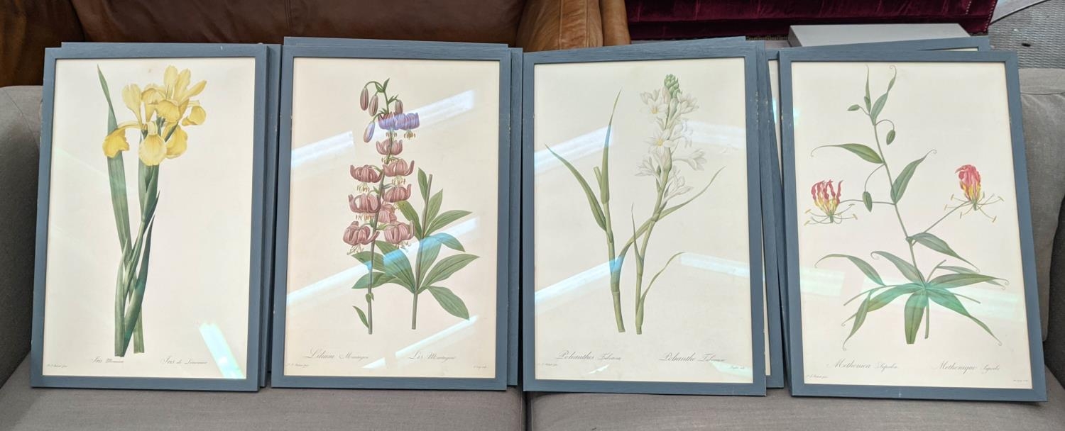 BOTANICAL PRINTS, a set of ten, framed, 56cm x 38cm. (10)