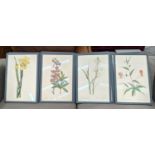 BOTANICAL PRINTS, a set of ten, framed, 56cm x 38cm. (10)