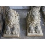 RECUMBENT LIONS, 50cm H x 33cm W, sold as a pair, reconstituted stone. (2)