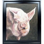 CLIVE FREDRIKSSON (20th century British) 'Middle White Pig', oil on board, 82cm x 70cm, framed.