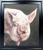 CLIVE FREDRIKSSON (20th century British) 'Middle White Pig', oil on board, 82cm x 70cm, framed.