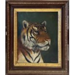 A. GARNHAM (19th Century British School) 'Head Study of a Bengal Tiger', oil on canvas, signed and