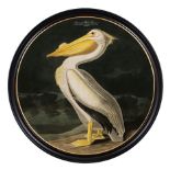 AFTER JOHN JAMES AUDUBON, 'Pelicanus Americanus', giclée, 105cm diam., framed.