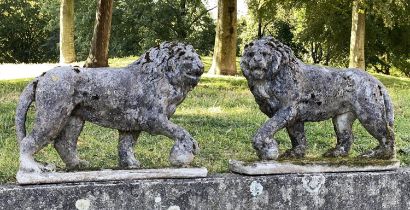 GARDEN LIONS, an opposing pair, well weathered reconstituted stone of neo-classical form each