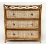 BAMBOO CHEST, 75cm W x 80cm H x 45cm D, bamboo framed and cane panelled, with 3/4 gallery above