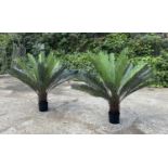 FAUX FERN TREES, a pair, potted, 110cm high, 100cm wide. (2)