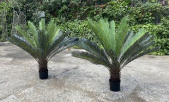 FAUX FERN TREES, a pair, potted, 110cm high, 100cm wide. (2)