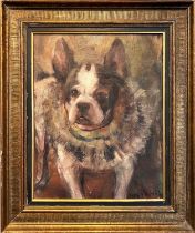 EARLY 20TH CENTURY FRENCH SCHOOL 'French bulldog with a ruff collar', oil on canvas, 42cm x 33cm,