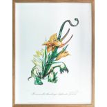 SALVADOR DALI (1904-1989), 'Surrealistic flowers', heliogravure in colour on Arches paper, published