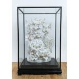 BLANC DE CHINE PORCELAIN FLOWER DISPLAY, with an ebonised and glass case, 54cm H x 34cm x 24cm.