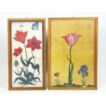 BOTANICAL TULIP PRINTS, two, 17th/18th century Mughal style, largest 89cm x 58cm, framed. (2)