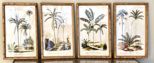 BOTANICAL PRINTS, set of four, framed and glazed, 50cm x 35cm each. (4)