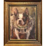 EARLY 20TH CENTURY FRENCH SCHOOL 'French bulldog with a ruff collar', oil on canvas, 42cm x 33cm,