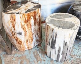 PETRIFIED WOOD SIDE TABLES, two, one cylindrical 29cm diam x 40cm H and one irregular shaped 37cm