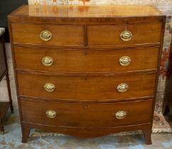 BOWFRONT CHEST, 104cm H x 207cm W x 51cm D, Regency mahogany of five drawers.