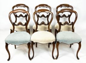 DINING CHAIRS, 87cm H x 45cm W, a set of six, mid Victorian walnut in cream velvet, two in blue