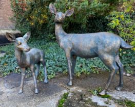 GARDEN SCULPTURES, depicting a Doe and Fawn, life size, in a bronzed finish, Doe measuring 90cm x