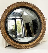 CONVEX WALL MIRROR, early 19th century Regency carved giltwood with original convex mirror plate,