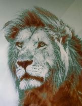 CONTEMPORARY SCHOOL PHOTO PRINT, lion, print under glass, 160cm x 120cm.