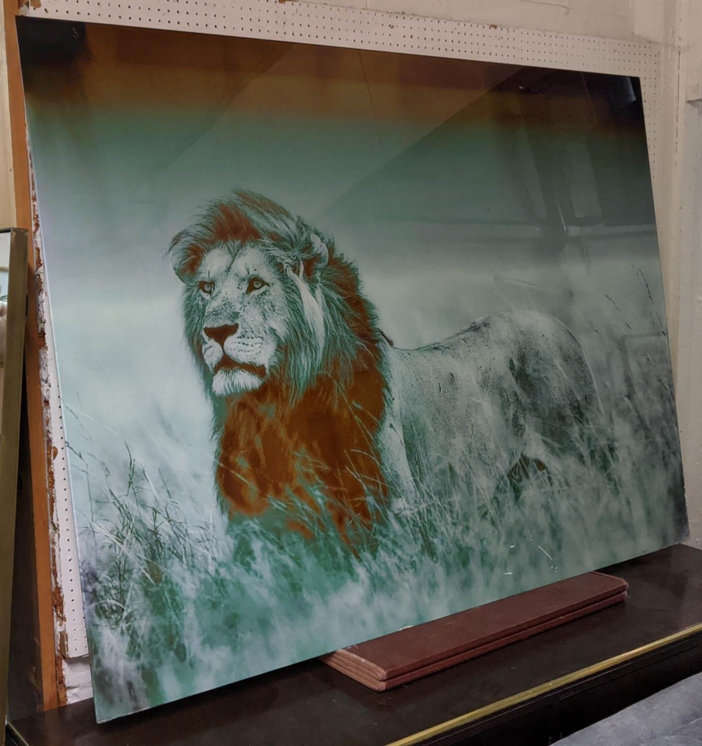 CONTEMPORARY SCHOOL PHOTO PRINT, lion, print under glass, 160cm x 120cm. - Image 6 of 8