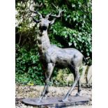 SCULPTURAL STUDY OF A STAG, 154cm H x 105cm W x 50cm D, cast metal, bronzed finish.