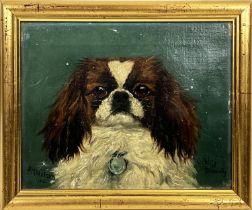 E M NELSON, 'Kings Charles Spaniel', oil on canvas, signed and dated 1912, 20cm x 25cm, framed.