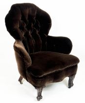 ARMCHAIR, 104cm H x 74cm, Victorian rosewood in brown velvet.