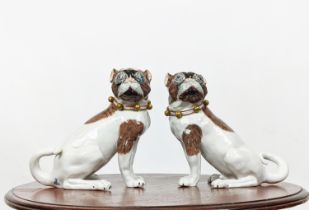 DRESDEN PUG DOGS, a pair, early 20th century signed and with serial numbers, 19cm H. (2)