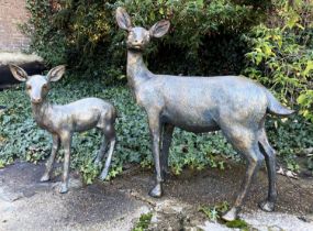 CONTEMPORARY SCHOOL SCULPTURAL STUDIES, a set of two, depicting a Doe and Fawn, resin, in a