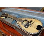 OLD MANDOLIN WITH CARRY CASE