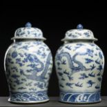 Coppia di potiches, Cina, dinastia Qing, XVIII secolo