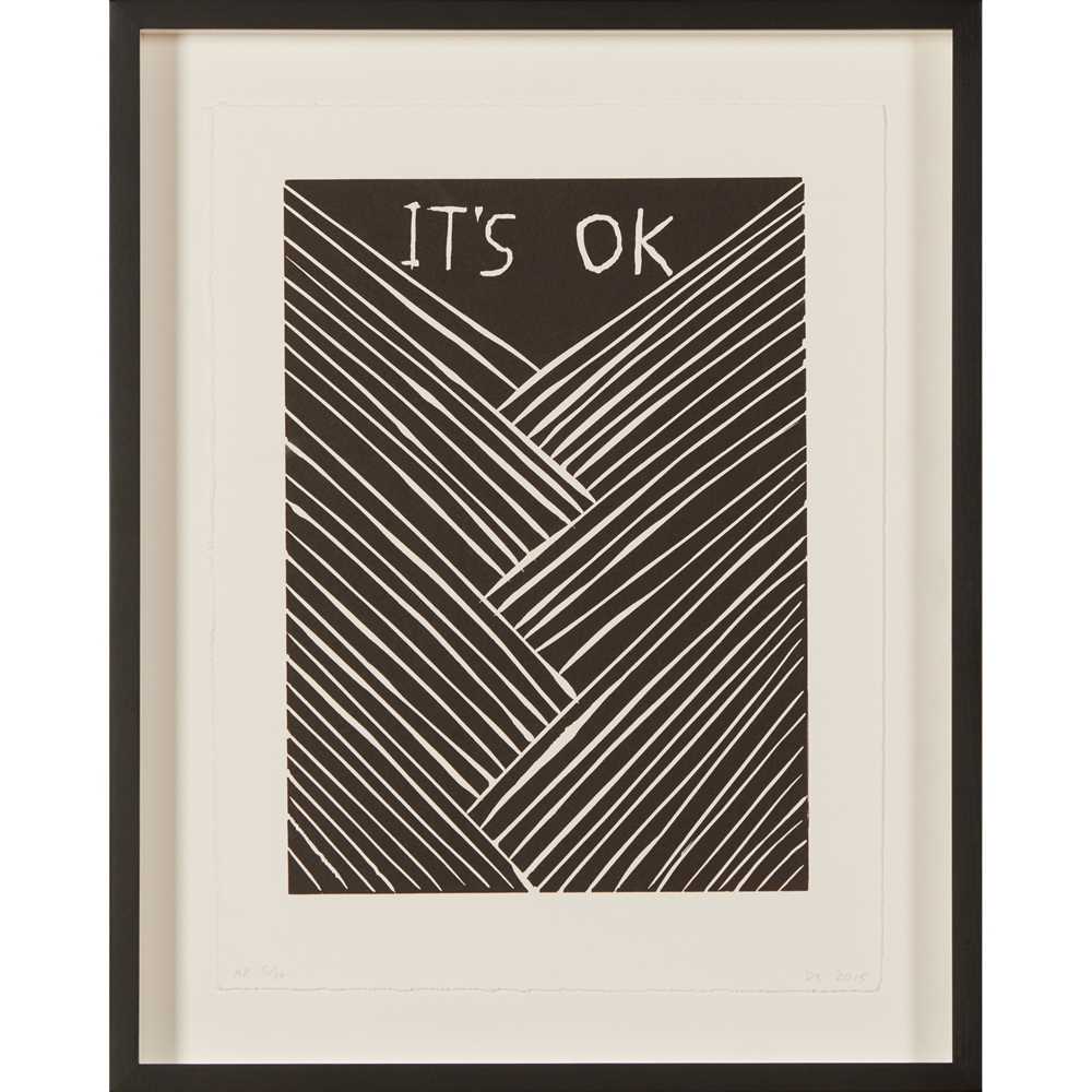 § DAVID SHRIGLEY O.B.E. (BRITISH 1968-) IT'S OK - 2015 - Image 2 of 3