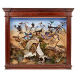 VICTORIAN LARGE CASED TAXIDERMY BIRD DIORAMA 19TH CENTURY