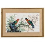 GROUP OF SIX 'EXOTIC BIRD' PAINTINGS ON PITH PAPER QING DYNASTY, 19TH CENTURY