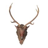 GERMAN BLACK FOREST CARVED AND POLYCHROMED STAG'S HEAD AND ANTLERS 18TH CENTURY