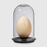 A NEAR COMPLETE ELEPHANT BIRD EGG MADAGASCAR, PLEISTOCENE PERIOD