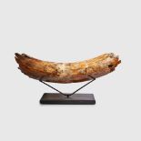 EXCEPTIONALLY LARGE PARTIAL MAMMOTH TUSK NORTH SEA, PLEISTOCENE PERIOD, 50,000 YEARS BP