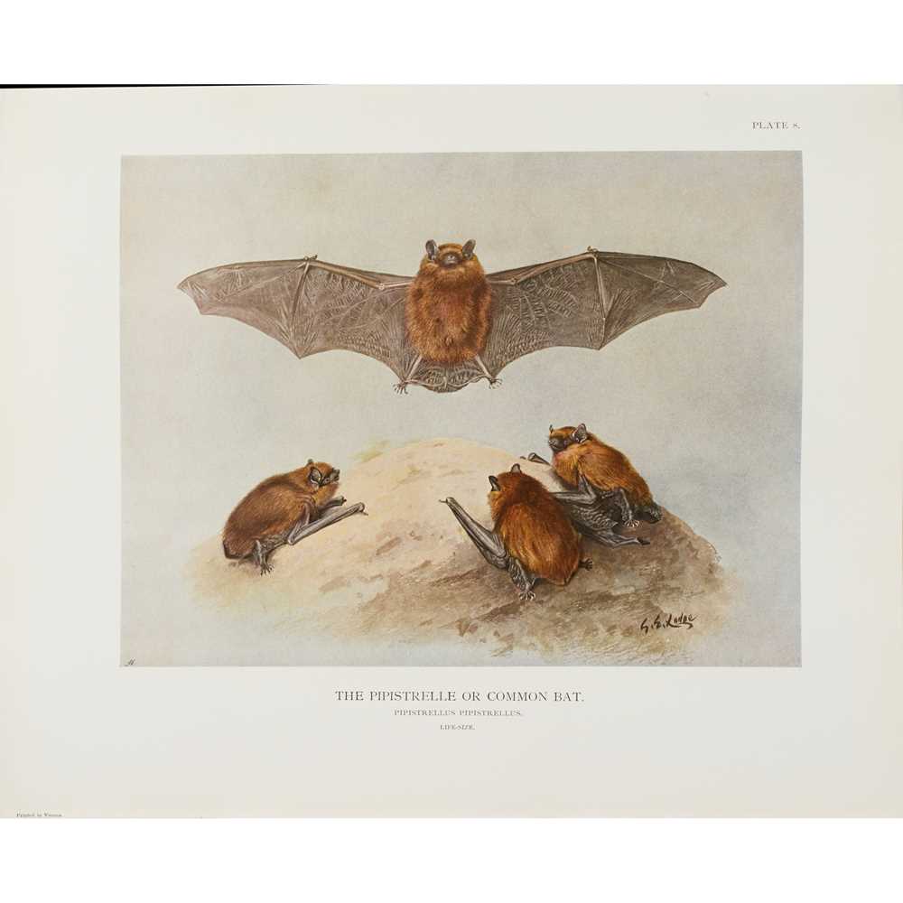 Millais, John Guille The Mammals of Great Britain and Ireland - Image 3 of 4