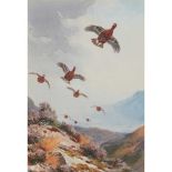 § JOHN CYRIL HARRISON (BRITISH 1898-1985) GROUSE IN FLIGHT