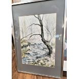 A large picture of a stream and woodland. Framed and glazed
