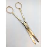 A pair of 18th century silver gilt grape scissors. Marks rubbed. 69gms.