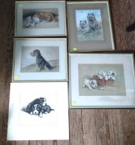 Five original pictures puppies/dogs by Mac and Lucy Dawson.