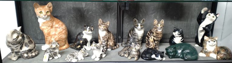 Ten Winstanley cats with glass eyes 12cm to 30cm high (one ear chipped), and five ceramic cats by