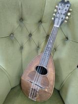 A mandolin