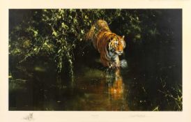 David Shepherd (1931 - 2017) Lone Wanderers of the Arctic, print in colours published by Solomon &