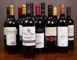 A collection of twelve bottles of red wine