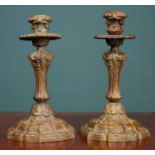 A pair of ornate bronze candlesticks
